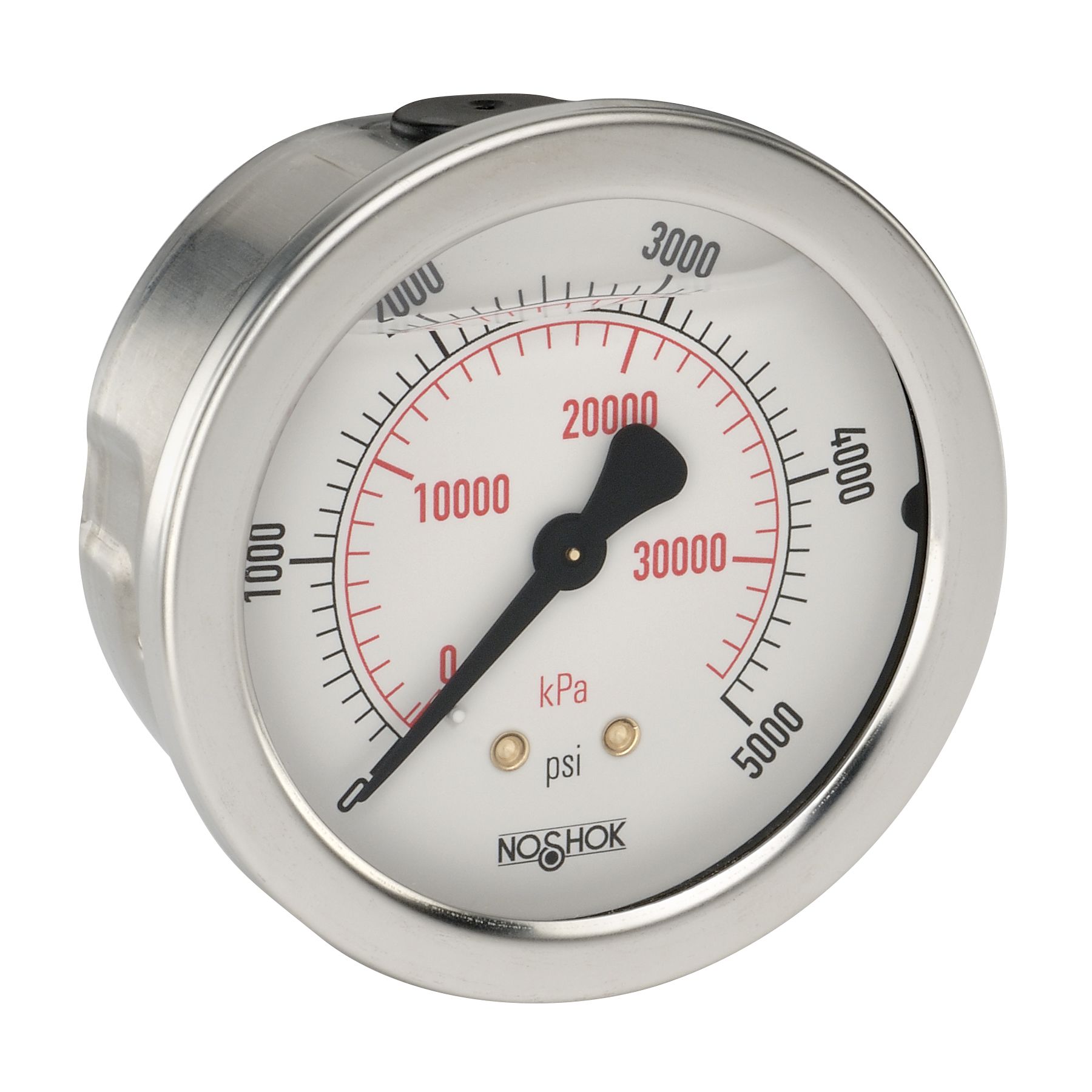 25_911_5000_psi_kpa-3_4_1299 25-911-3000-psi/kPa-PMC-GY40 1/4 NPT Back Conn, 2.5 SS Case Gauge, Steel Panel Mount Clamp, -40 Degree Service Fill - Image 1