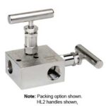  2704-FFS Soft Seat, 1/2 NPT Female x 1/2 NPT Female, 316 SS 2 Valve Manifold