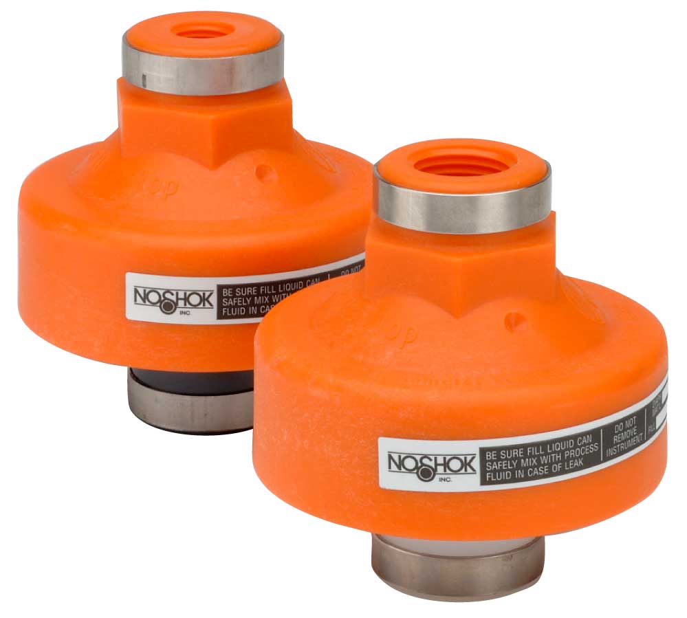 type_5_diaphragm_seal-LG 5-02PP-E-02KN Non-Metallic, Non-Replaceable Diaphragm Seal - Image 1